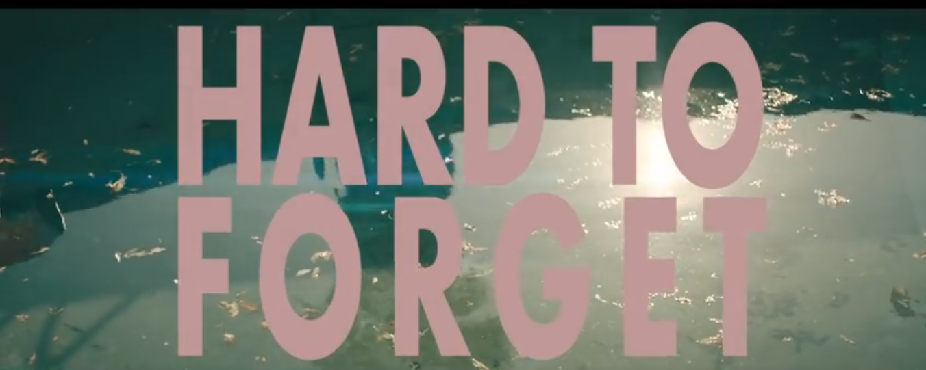 Sam Hunt - Hard To Forget